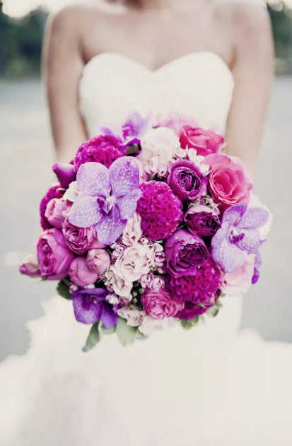 Flowery Collection